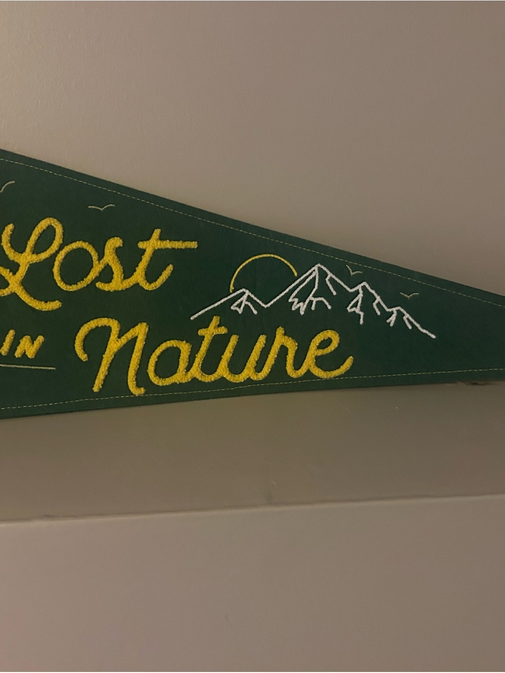 Lost in Nature Green Embroidered Wall Pennant